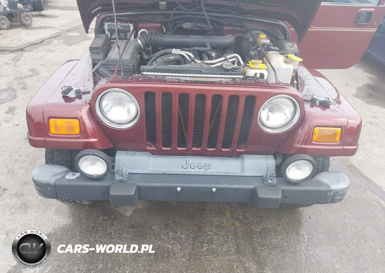 2001 Jeep Wrangler Sahara VIN:1J4FA59S31P373982 - 10