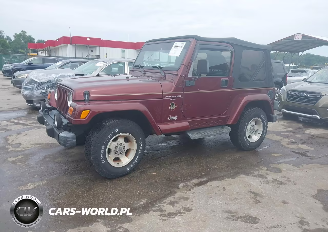 2001 Jeep Wrangler Sahara VIN:1J4FA59S31P373982 - 2