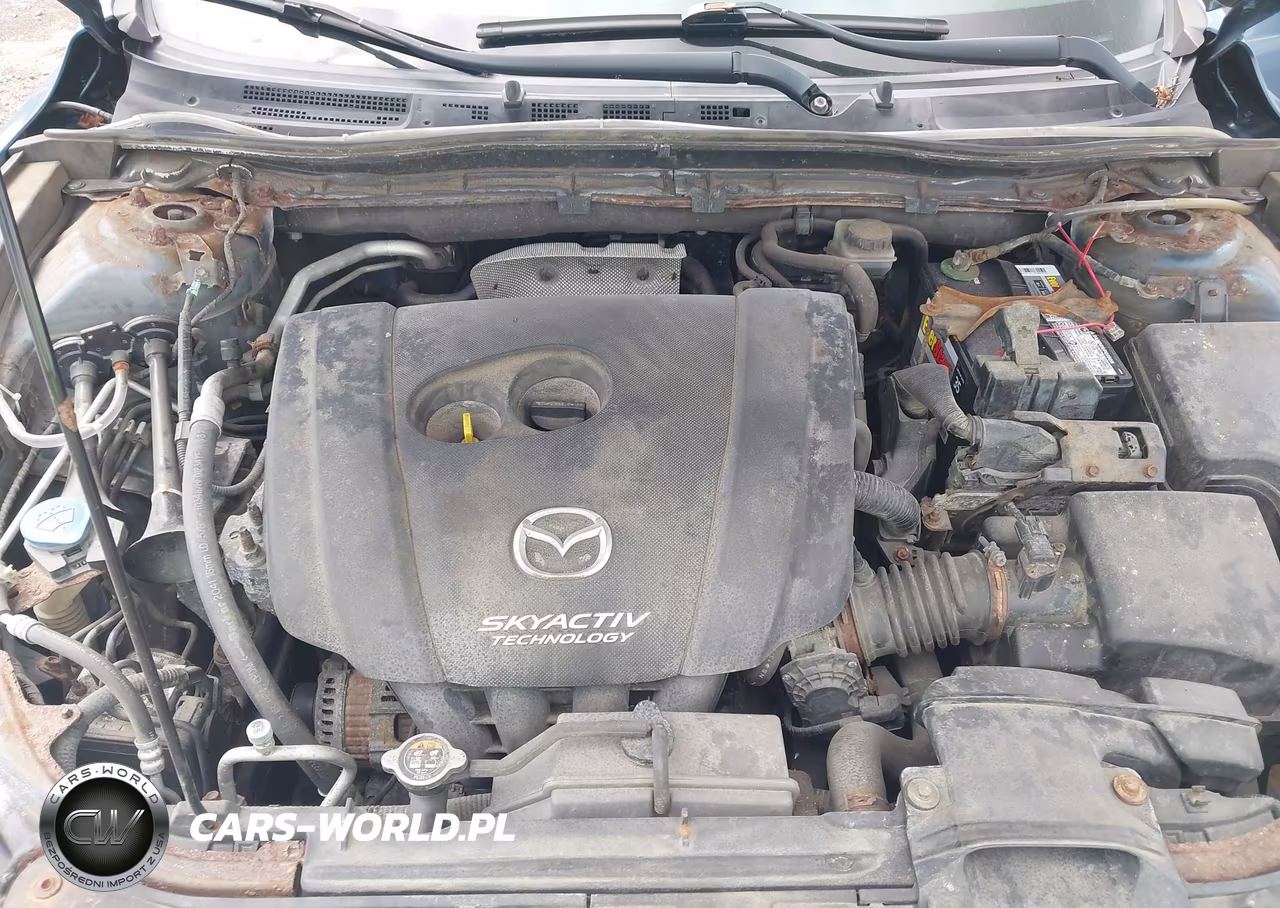 2014 Mazda Mazda3 I Sport VIN:JM1BM1K73E1171002 - 10