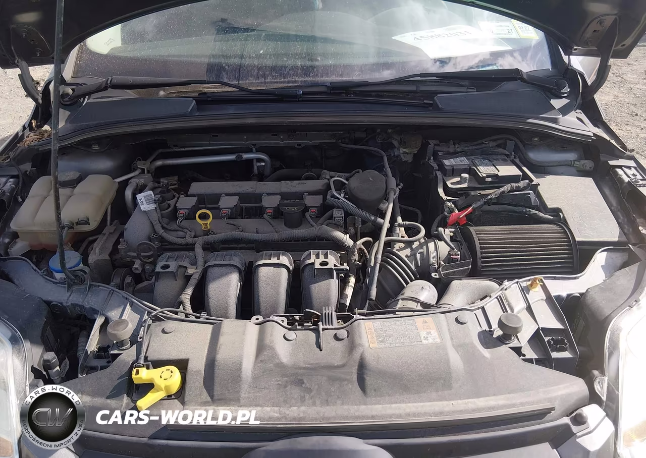 2014 Ford Focus Se VIN:1FADP3F27EL295696 - 10