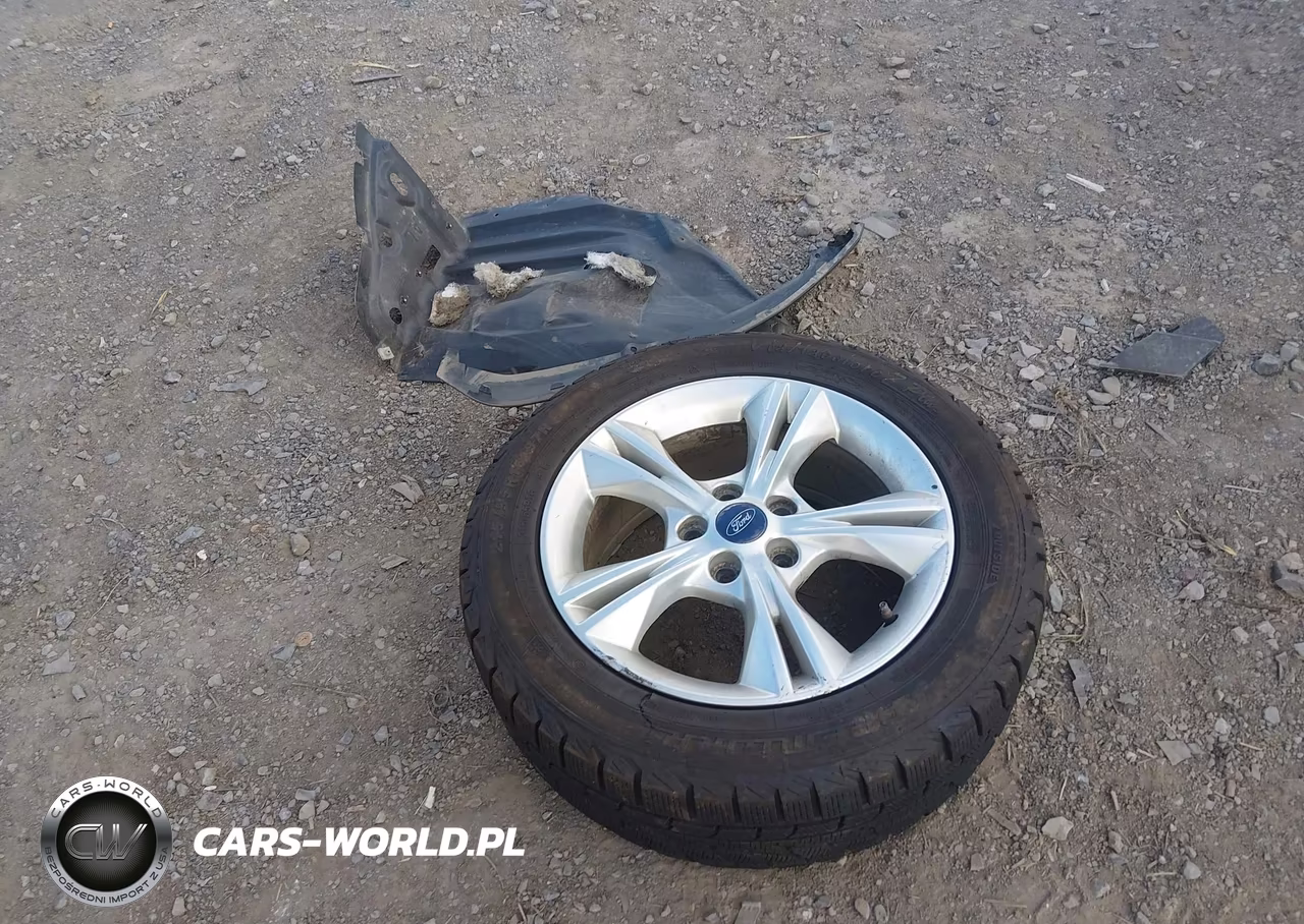 2014 Ford Focus Se VIN:1FADP3F27EL295696 - 12