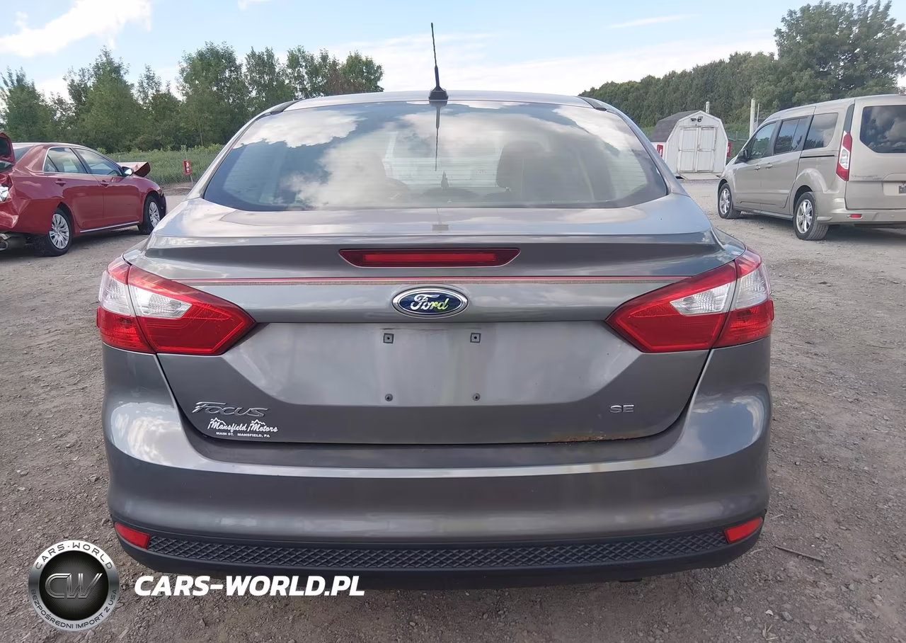 2014 Ford Focus Se VIN:1FADP3F27EL295696 - 17