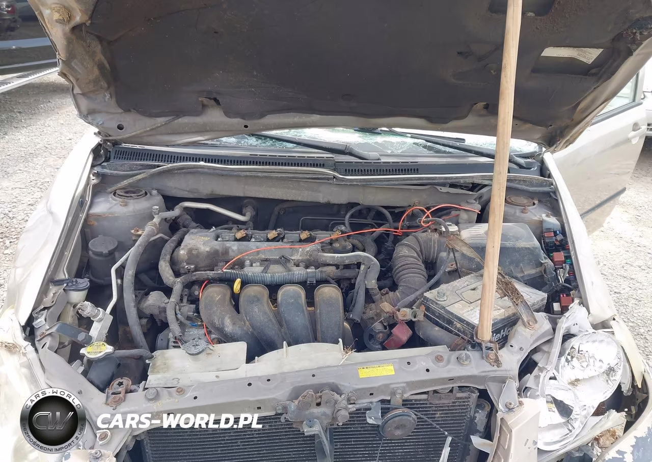 2004 Toyota Corolla Ce VIN:1NXBR32E64Z221458 - 10