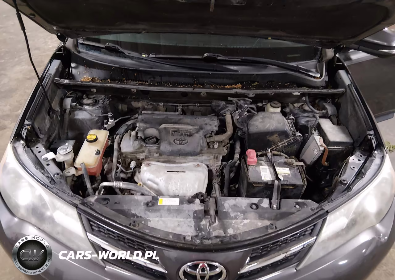 2015 Toyota Rav4 Xle VIN:2T3RFREV6FW404374 - 10