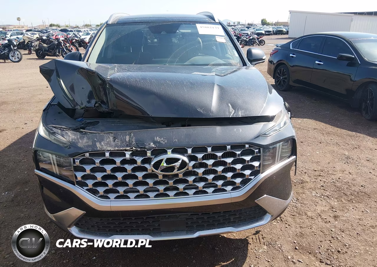 2021 Hyundai Santa Fe Limited VIN:5NMS4DAL1MH358047 - 12