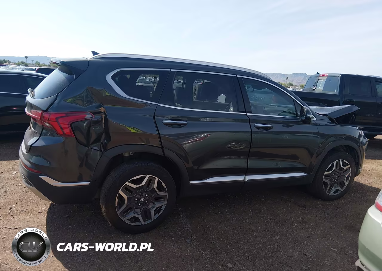 2021 Hyundai Santa Fe Limited VIN:5NMS4DAL1MH358047 - 13