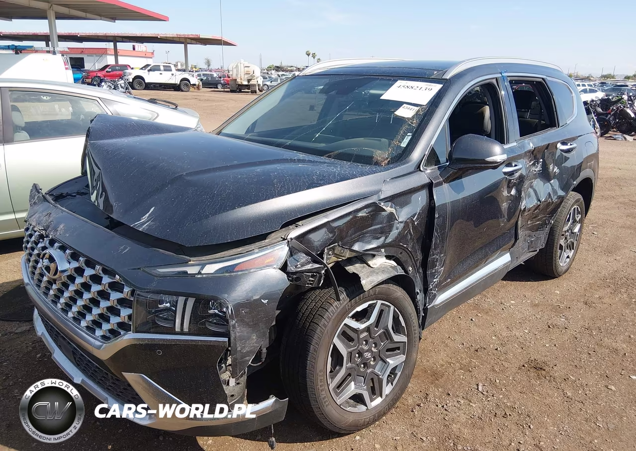 2021 Hyundai Santa Fe Limited VIN:5NMS4DAL1MH358047 - 6