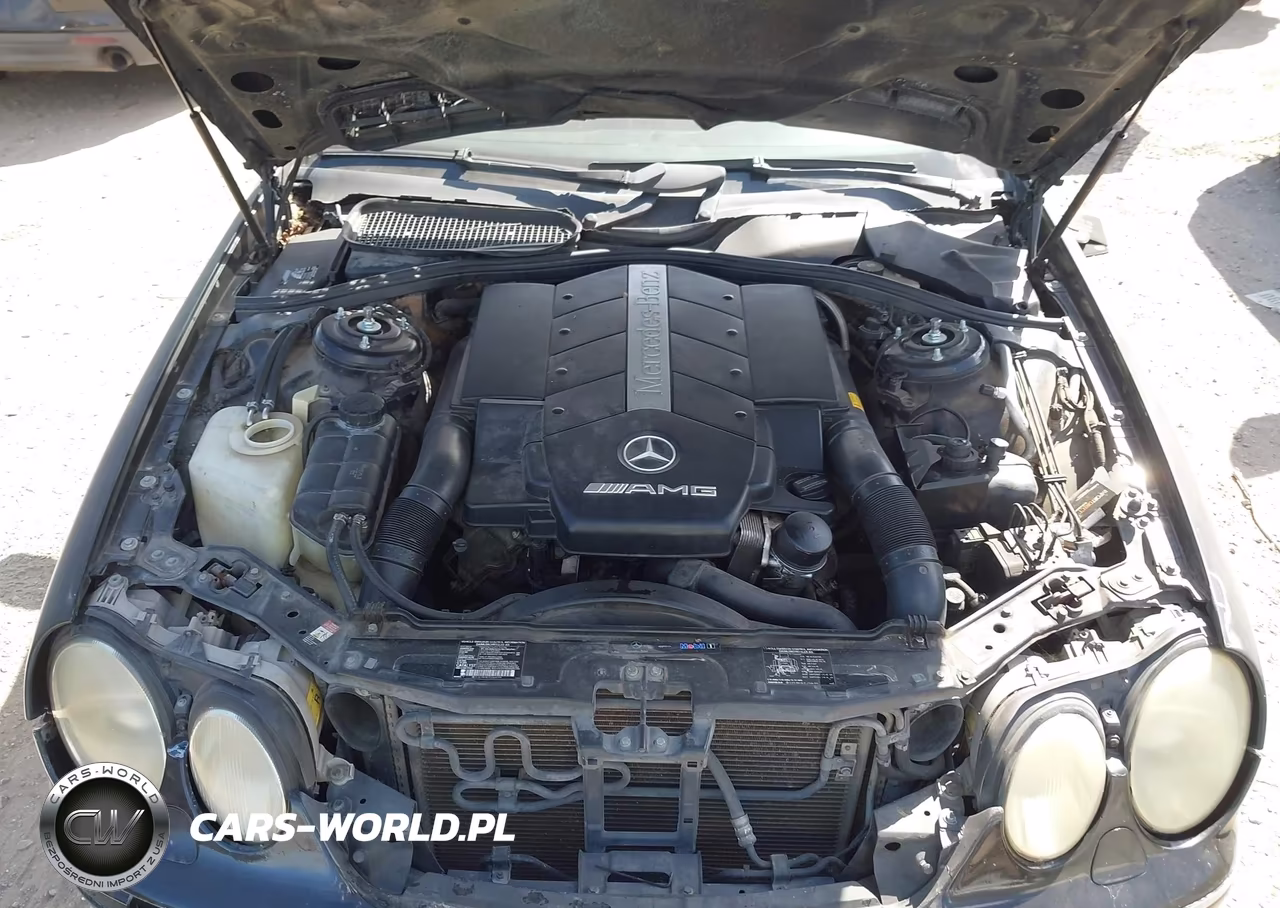 2002 Mercedes-Benz Cl 55 Amg VIN:WDBPJ73J82A028343 - 10