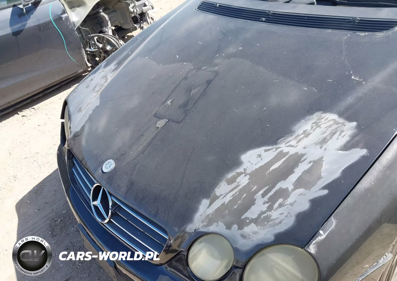 2002 Mercedes-Benz Cl 55 Amg VIN:WDBPJ73J82A028343 - 12