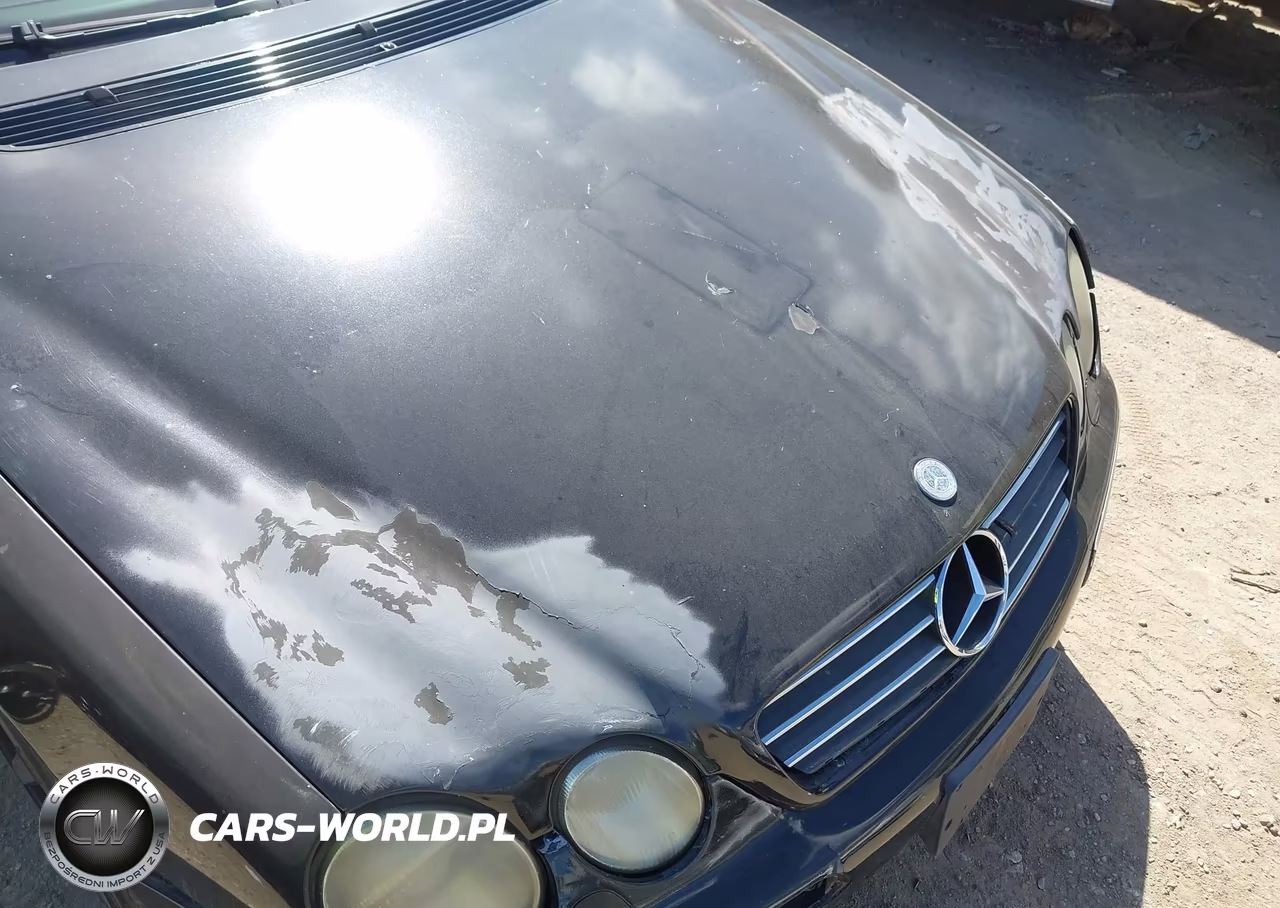 2002 Mercedes-Benz Cl 55 Amg VIN:WDBPJ73J82A028343 - 6