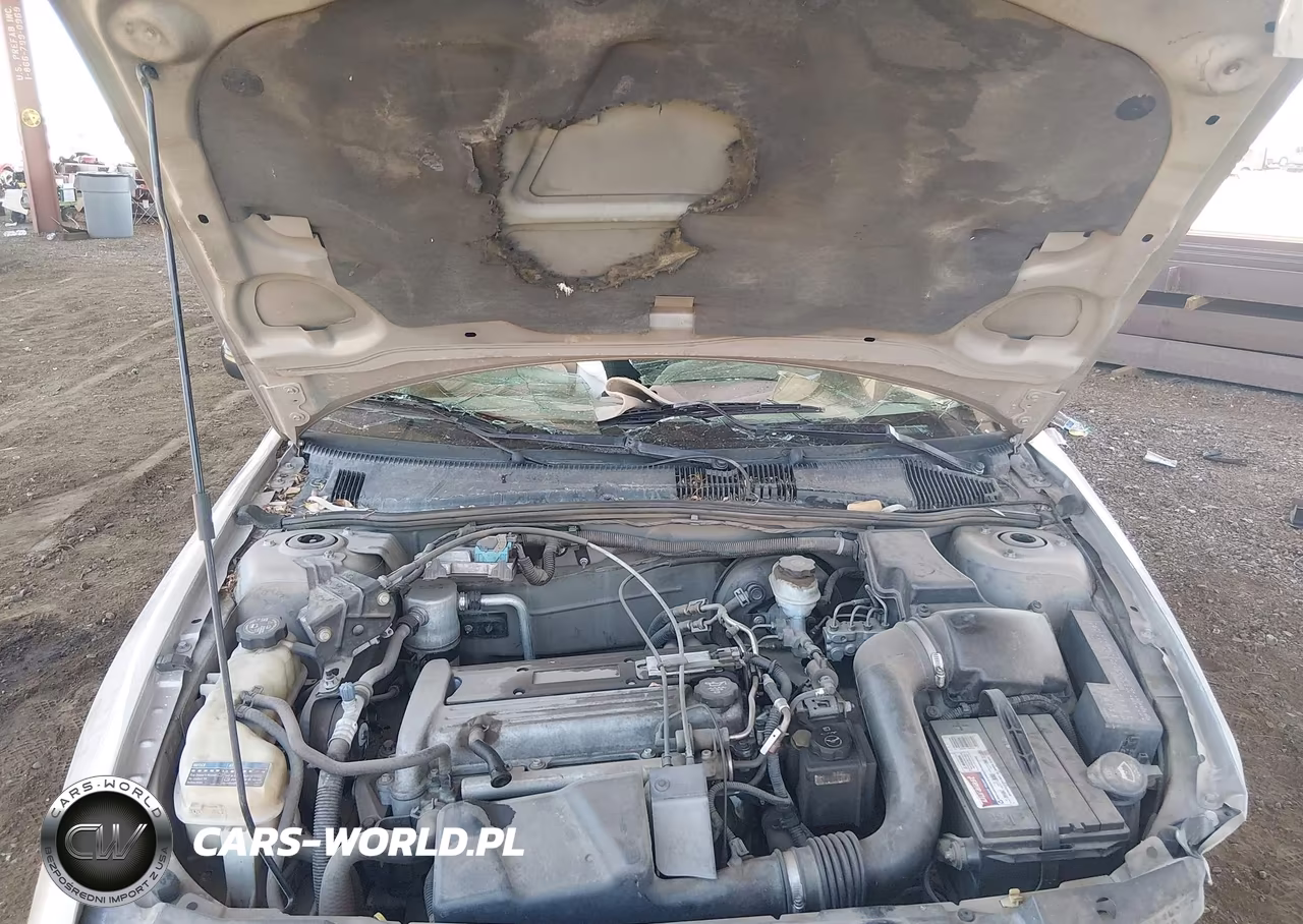 2004 Chevrolet Cavalier VIN:1G1JC52F647274304 - 10