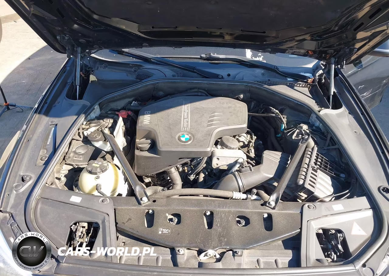 2016 BMW 528I xDrive VIN:WBA5A7C51GG149583 - 10