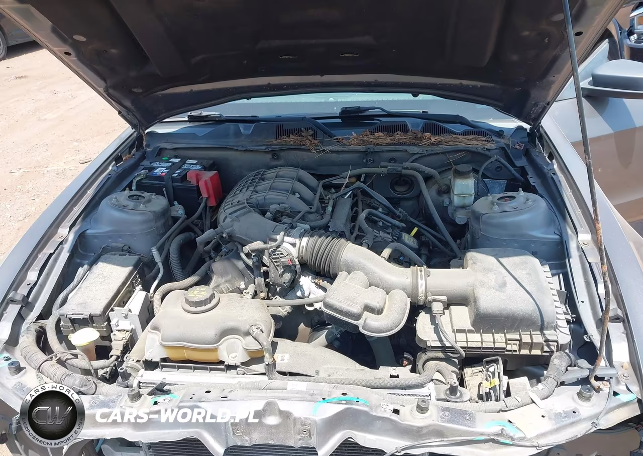 2013 Ford Mustang V6 VIN:1ZVBP8AM4D5281889 - 10