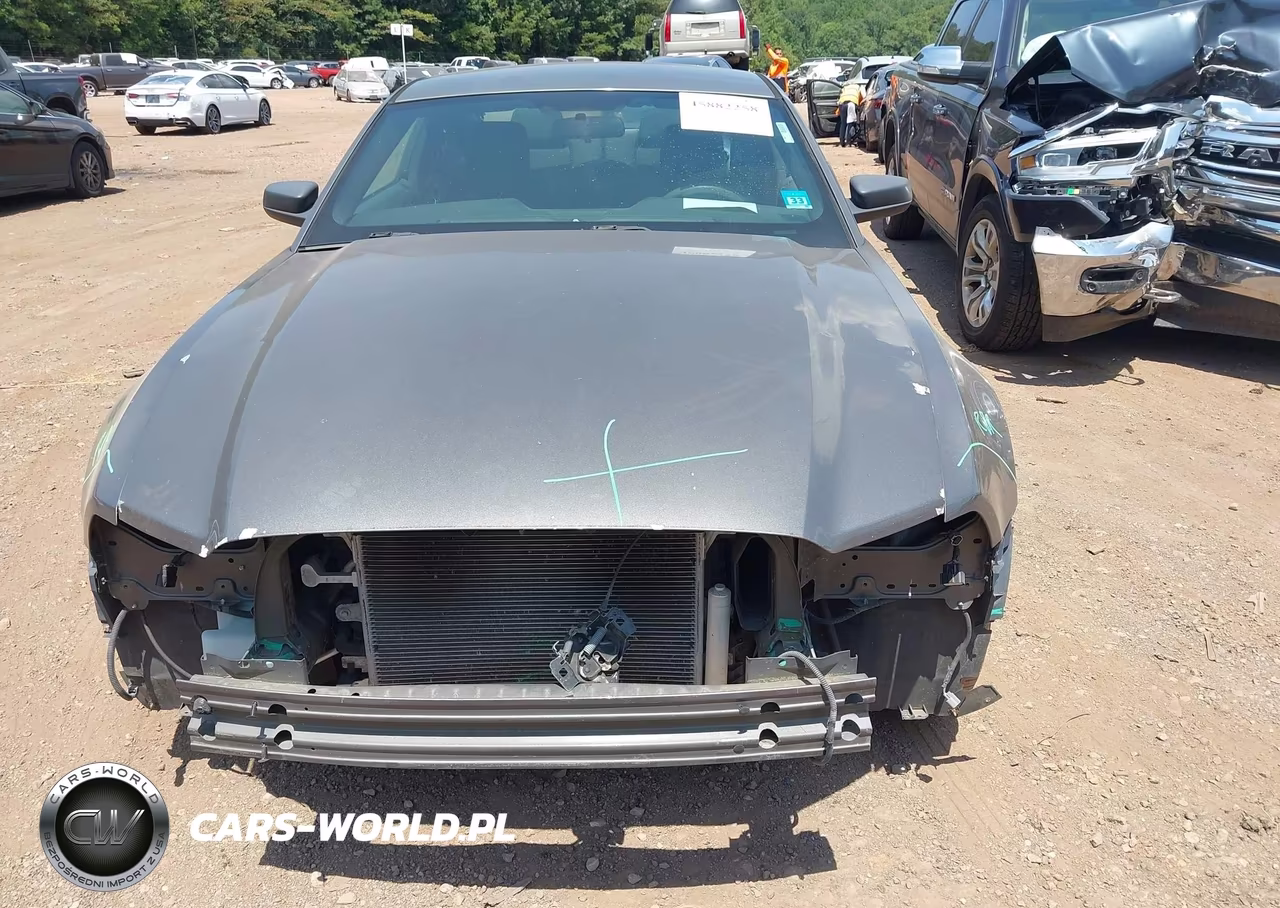 2013 Ford Mustang V6 VIN:1ZVBP8AM4D5281889 - 12