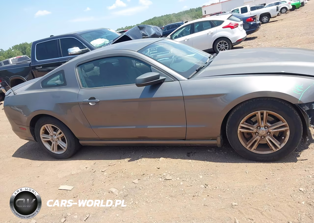 2013 Ford Mustang V6 VIN:1ZVBP8AM4D5281889 - 13