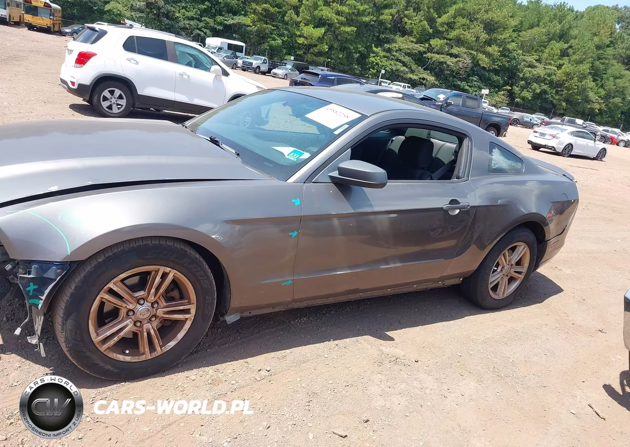 2013 Ford Mustang V6 VIN:1ZVBP8AM4D5281889 - 14