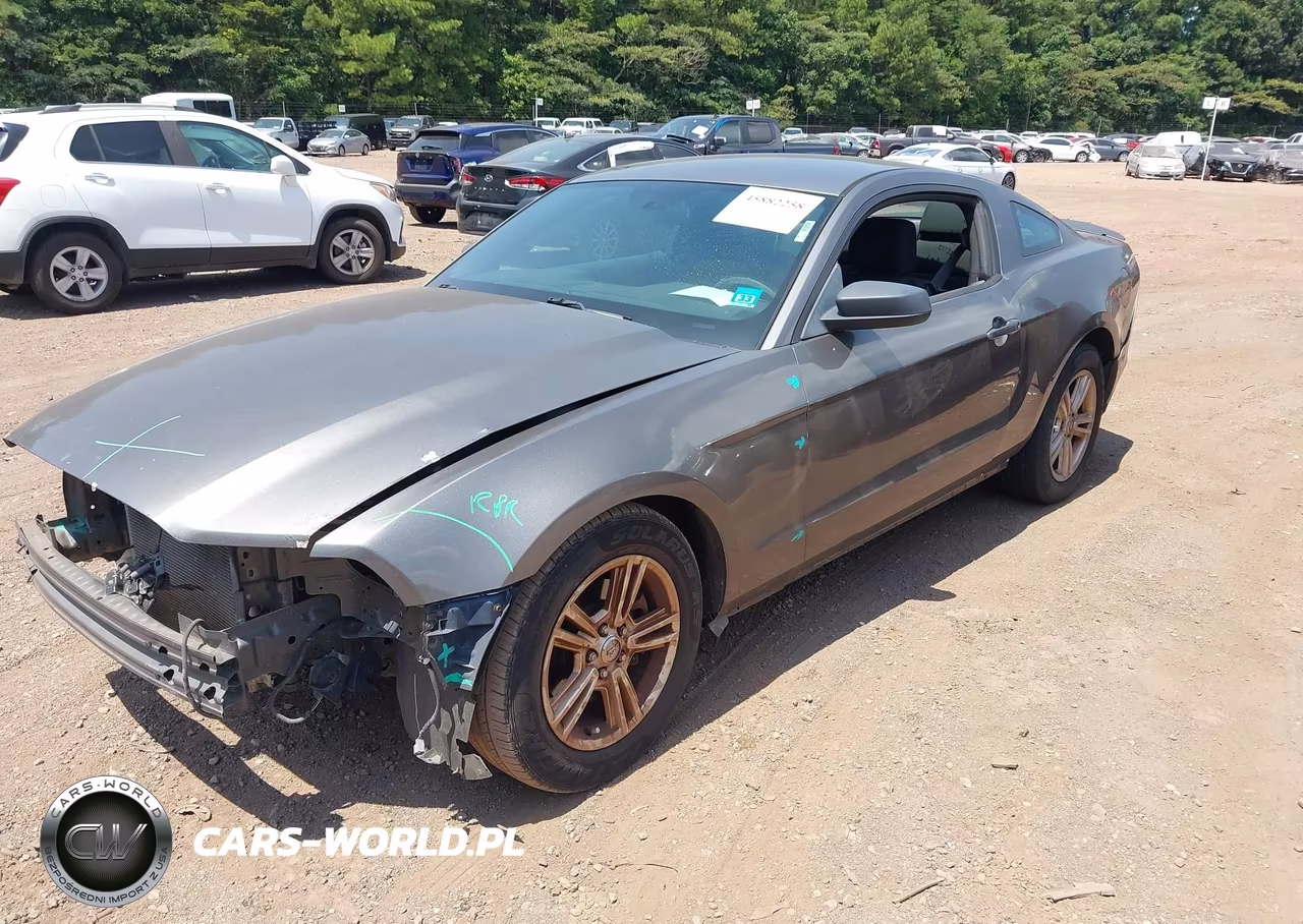 2013 Ford Mustang V6 VIN:1ZVBP8AM4D5281889 - 2