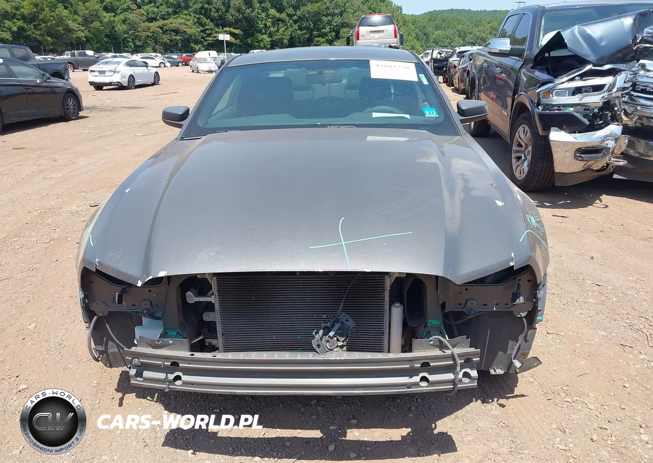 2013 Ford Mustang V6 VIN:1ZVBP8AM4D5281889 - 6