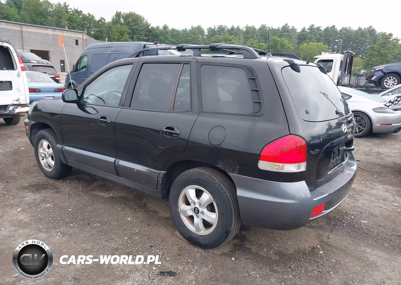 2005 Hyundai Santa Fe Gls VIN:KM8SC73D45U932091 - 3