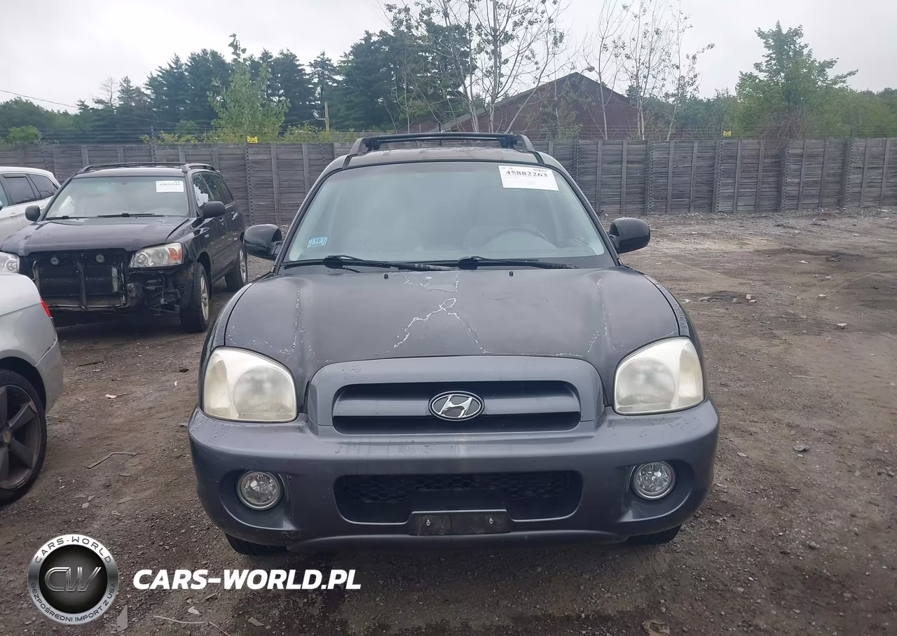 2005 Hyundai Santa Fe Gls VIN:KM8SC73D45U932091 - 6