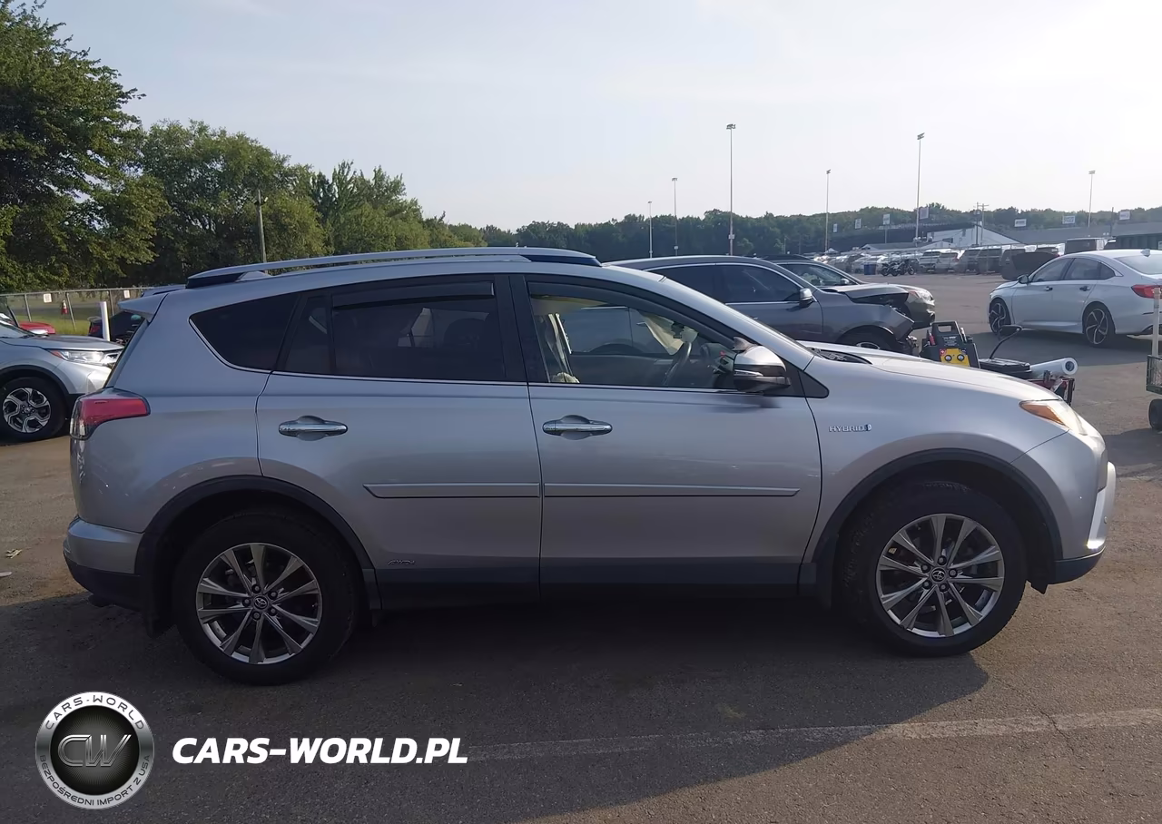 2017 Toyota Rav4 Hybrid Limited VIN:JTMDJREV6HD124236 - 12