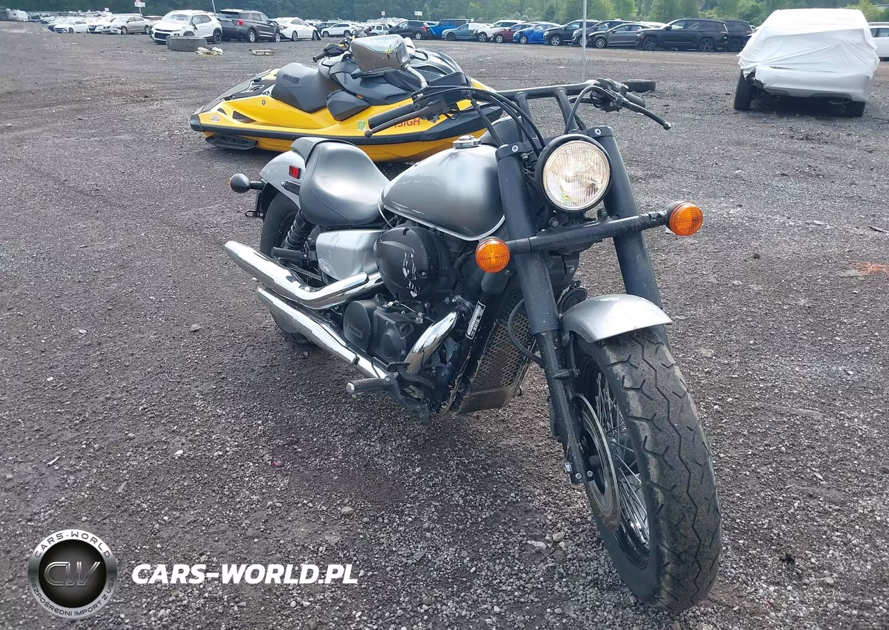 2015 Honda Vt750 C2B