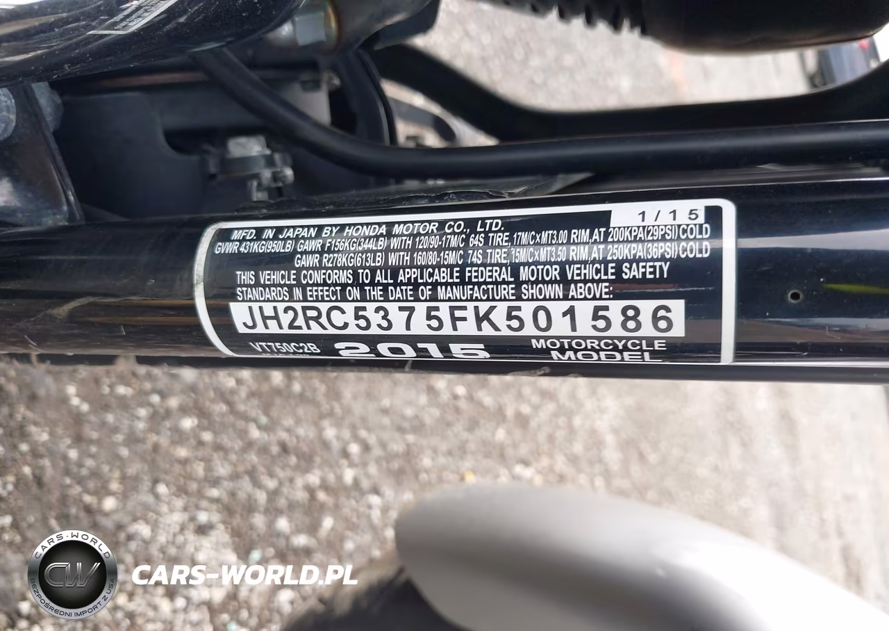 2015 Honda Vt750 C2B VIN:JH2RC5375FK501586 - 10