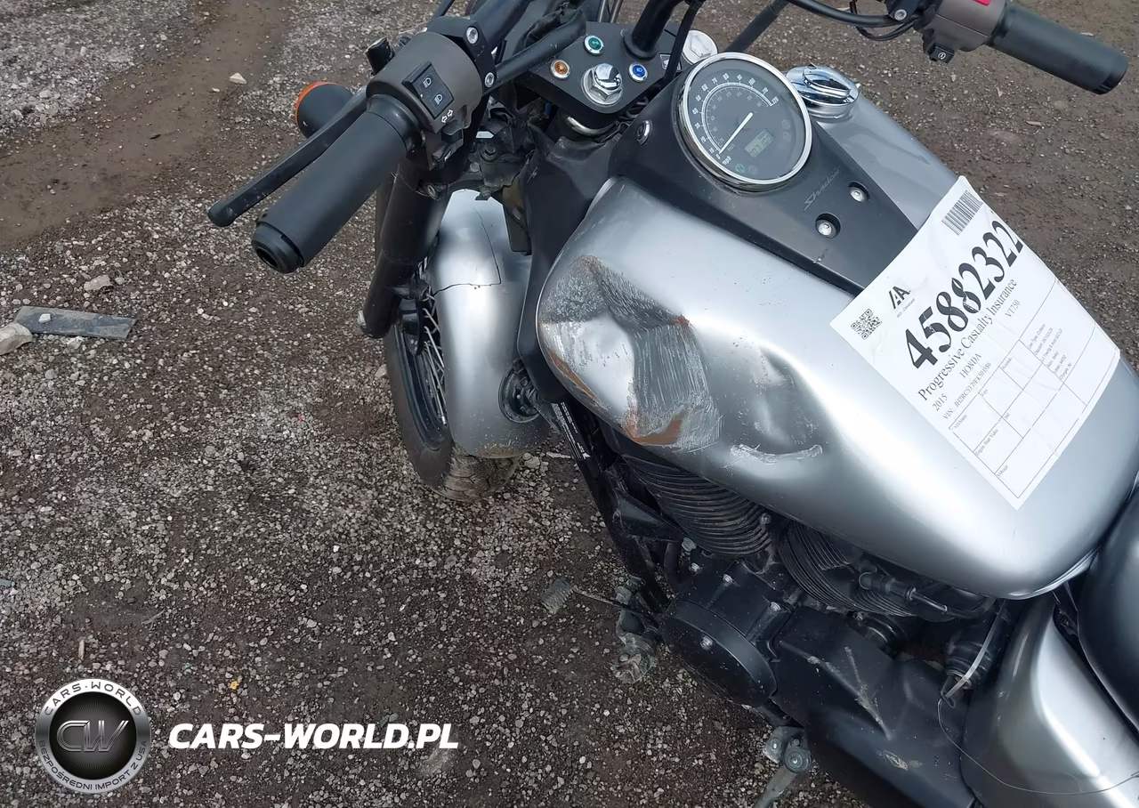 2015 Honda Vt750 C2B VIN:JH2RC5375FK501586 - 14