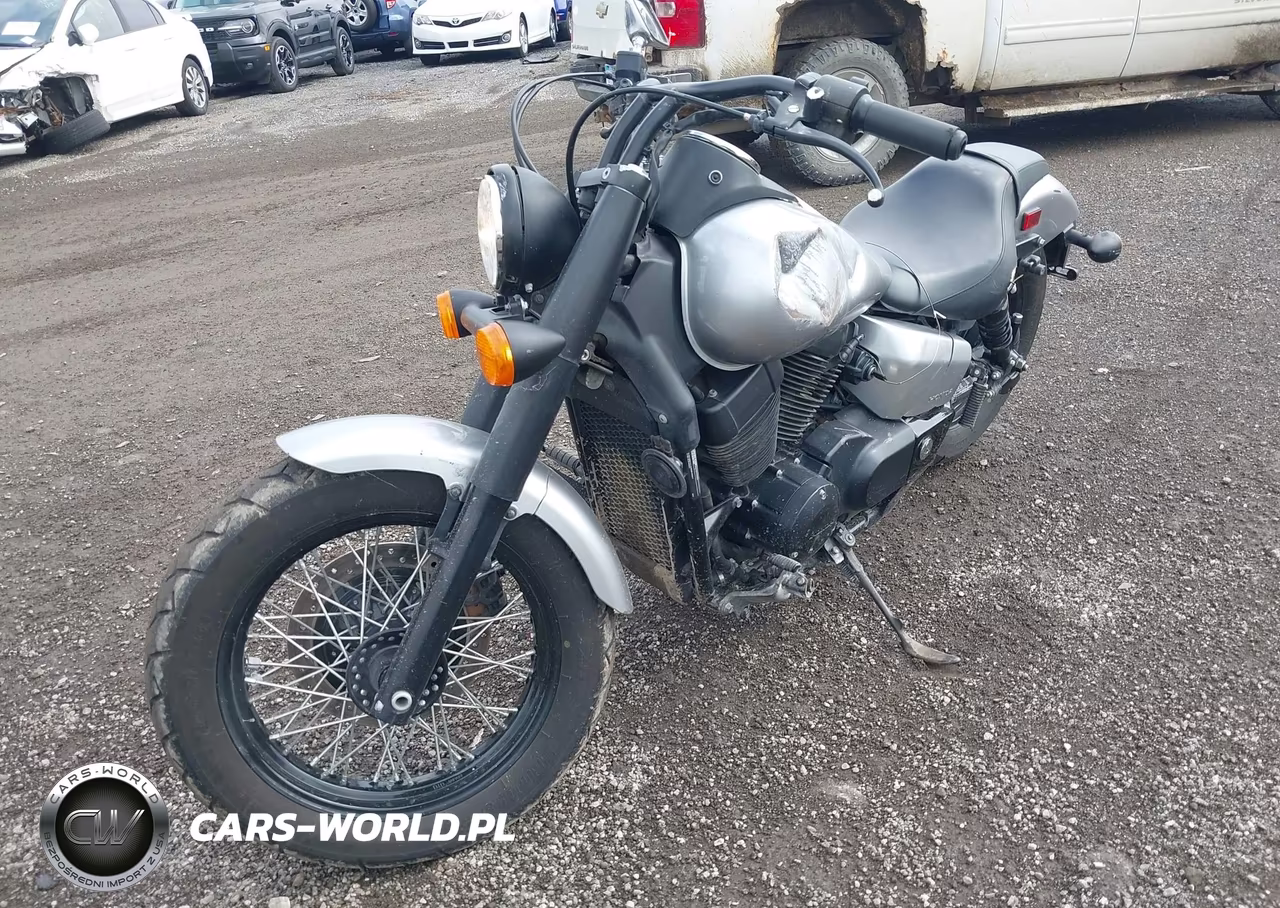 2015 Honda Vt750 C2B VIN:JH2RC5375FK501586 - 2