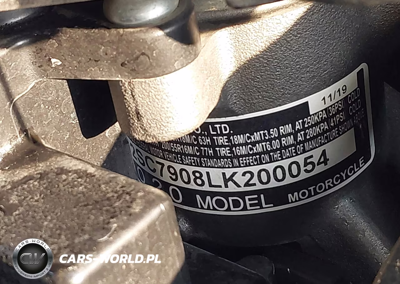 2020 Honda Gl1800 VIN:JH2SC7908LK200054 - 10