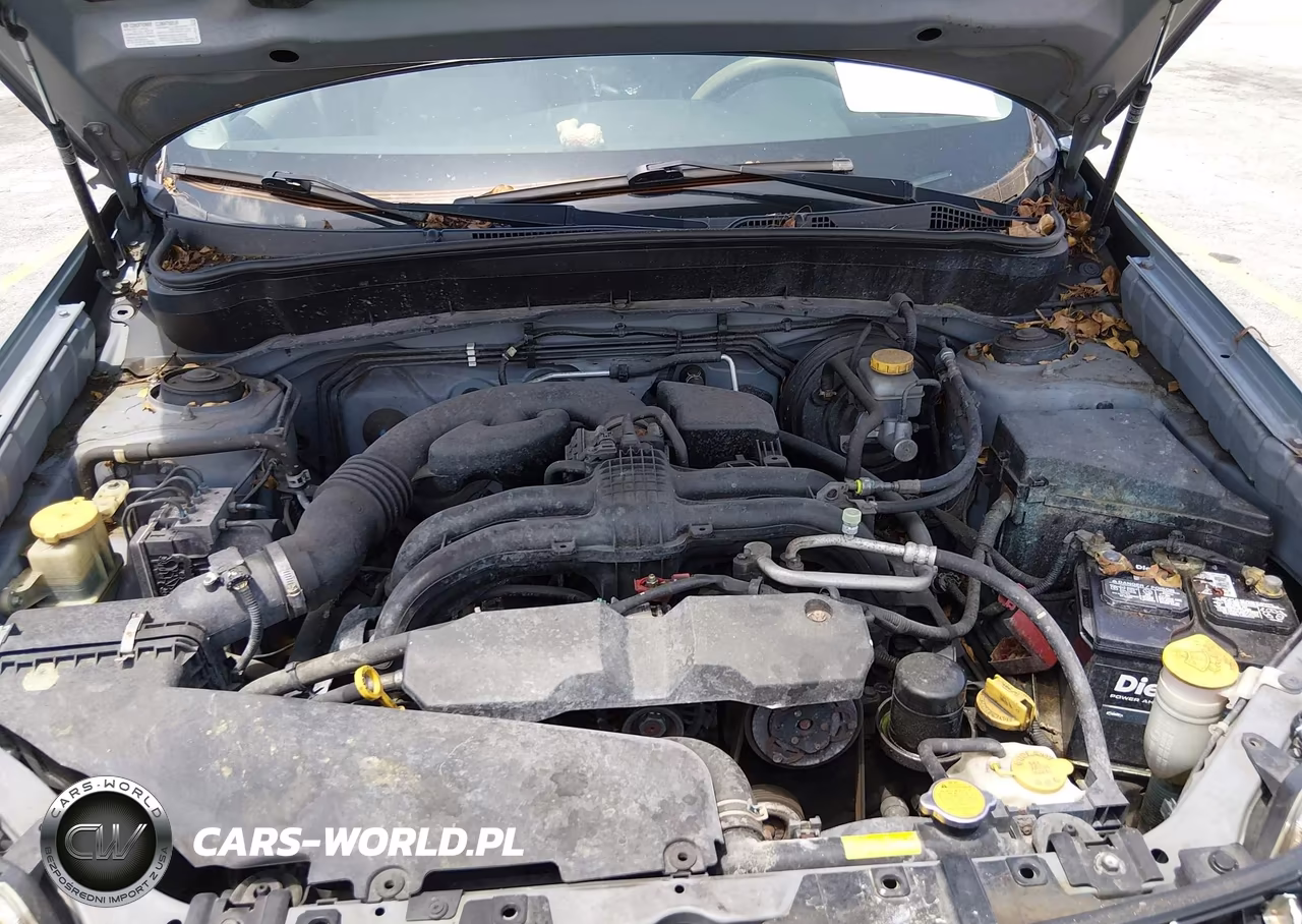 2013 Subaru Forester 2.5X Premium VIN:JF2SHADC2DH400887 - 10