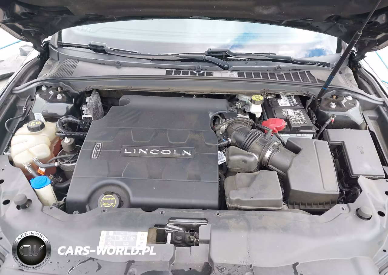 2020 Lincoln Continental Livery VIN:1LN6L9UK1L5608761 - 10