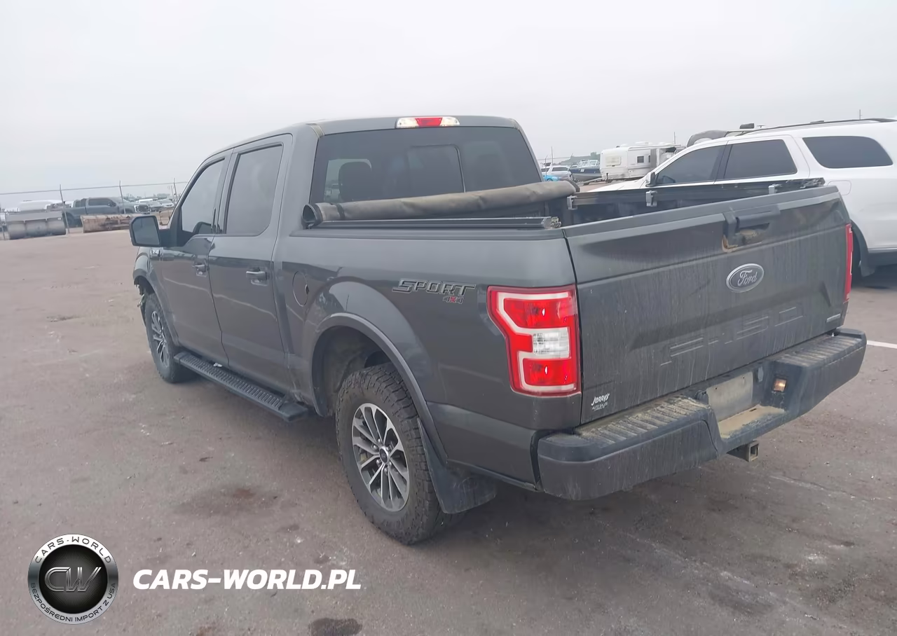 2019 Ford F-150 Xlt VIN:1FTEW1EP2KFA35929 - 3