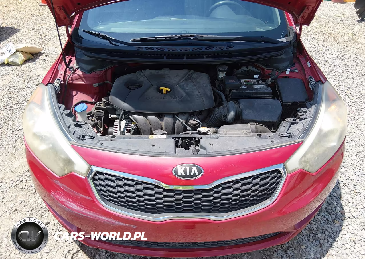 2016 Kia Forte Lx VIN:KNAFK4A65G5563554 - 10