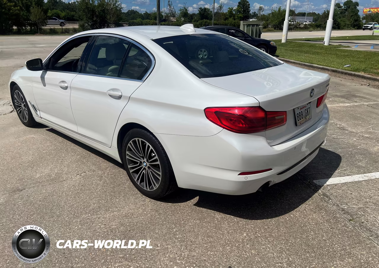 2020 BMW 530I VIN:WBAJR3C00LWW63753 - 3