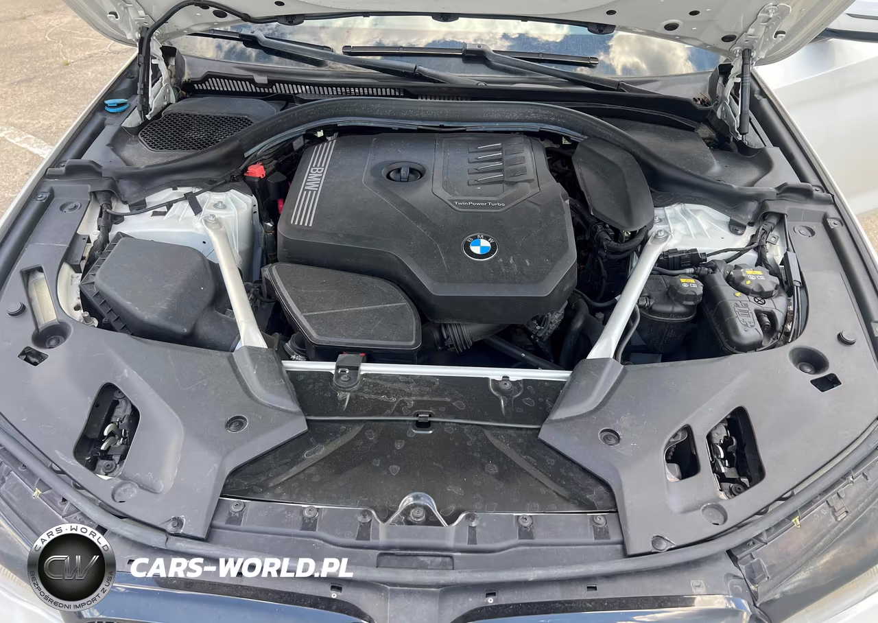 2020 BMW 530I VIN:WBAJR3C00LWW63753 - 9