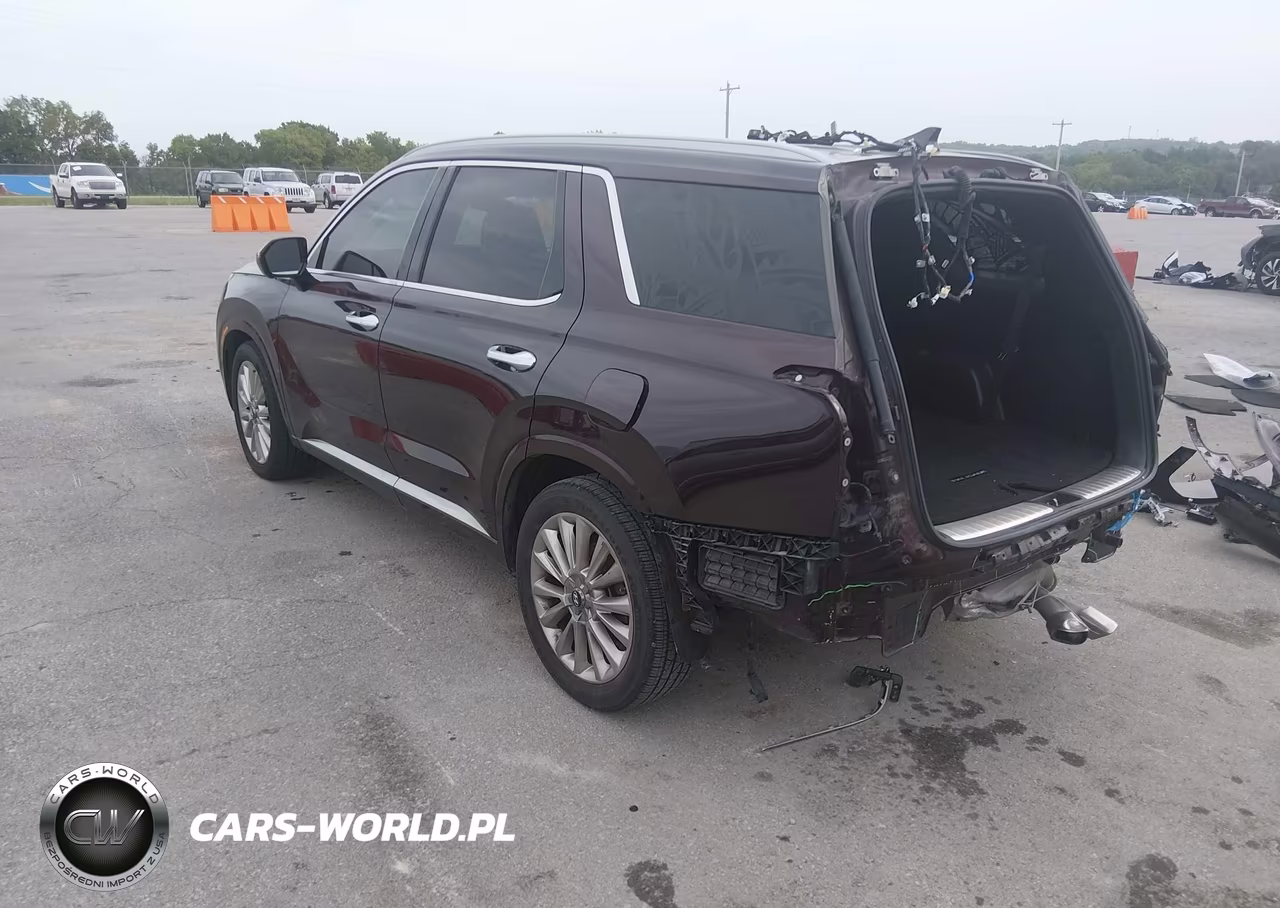 2020 Hyundai Palisade Limited VIN:KM8R54HE0LU036988 - 3