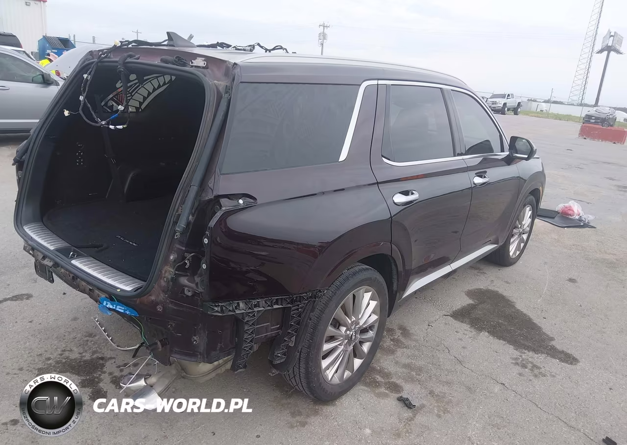 2020 Hyundai Palisade Limited VIN:KM8R54HE0LU036988 - 4
