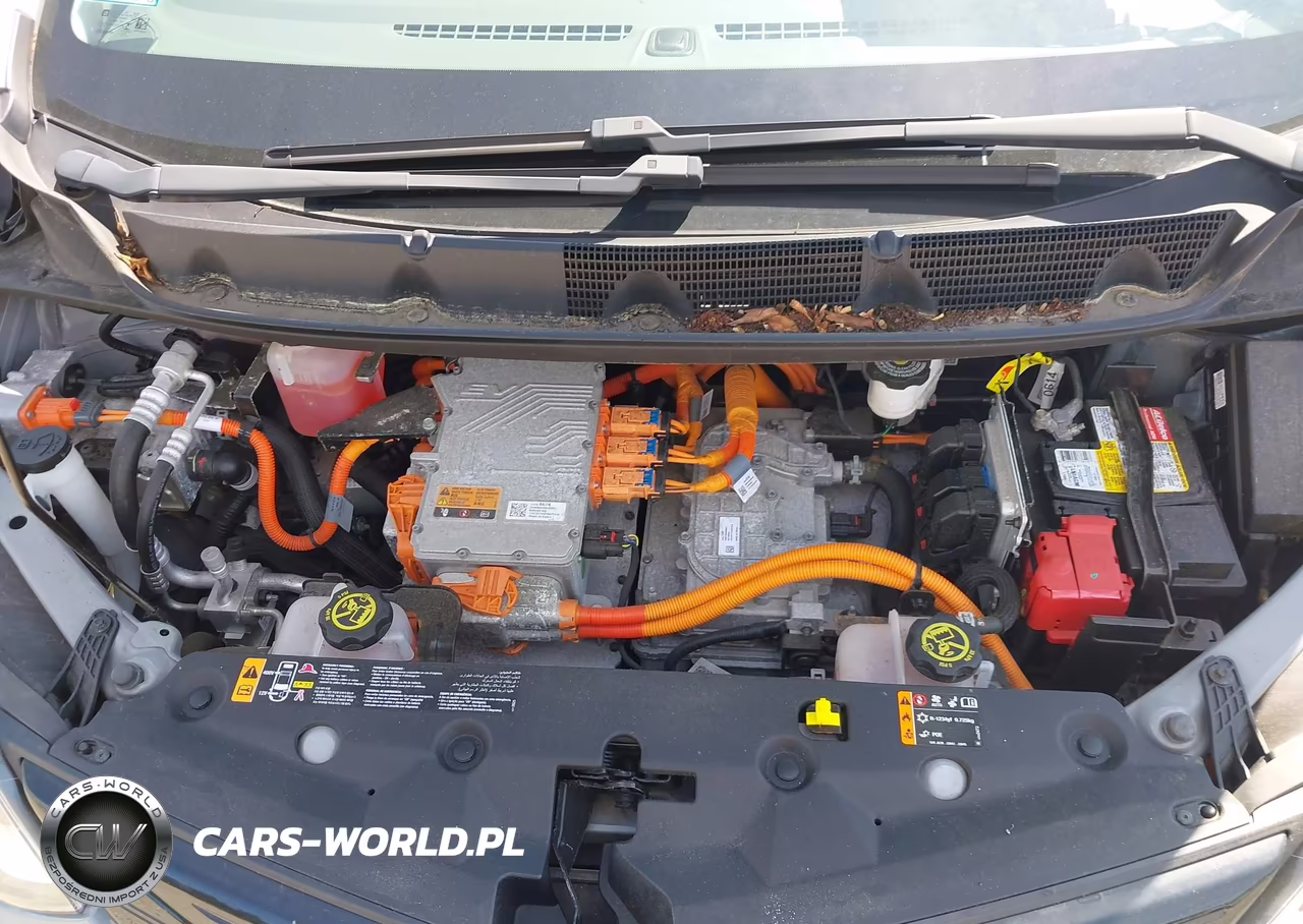 2021 Chevrolet Bolt Ev Fwd Lt VIN:1G1FY6S04M4114562 - 10