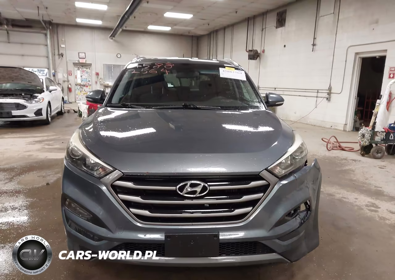 2016 Hyundai Tucson Eco VIN:KM8J3CA23GU130267 - 12