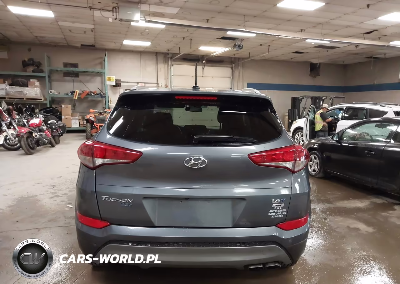 2016 Hyundai Tucson Eco VIN:KM8J3CA23GU130267 - 16