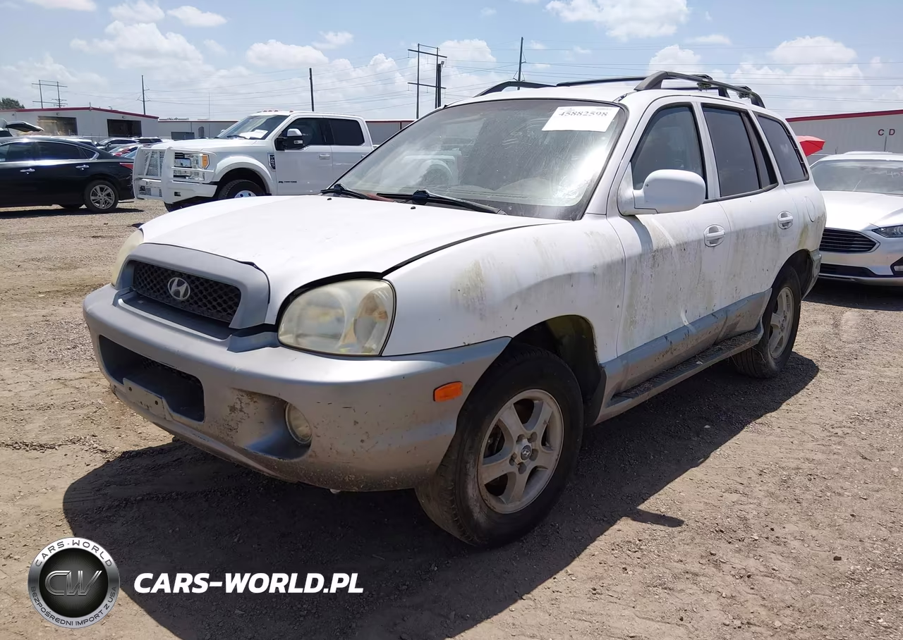 2004 Hyundai Santa Fe Gls VIN:KM8SC13D44U639058 - 2