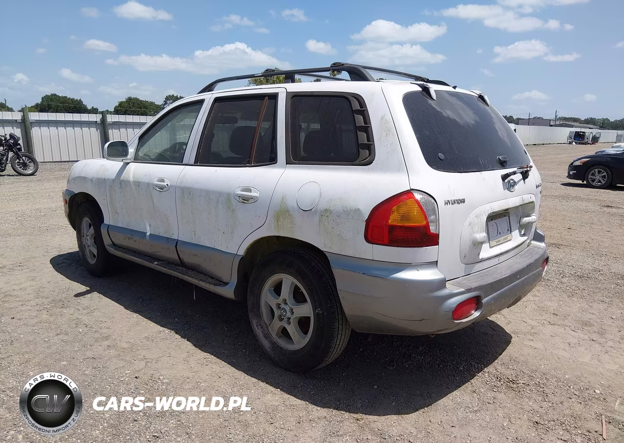 2004 Hyundai Santa Fe Gls VIN:KM8SC13D44U639058 - 3