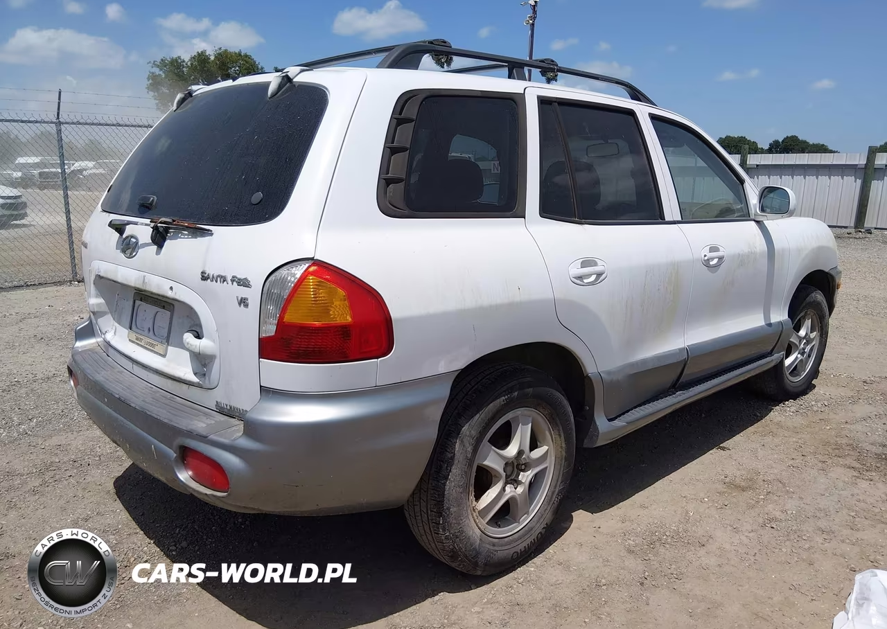 2004 Hyundai Santa Fe Gls VIN:KM8SC13D44U639058 - 4