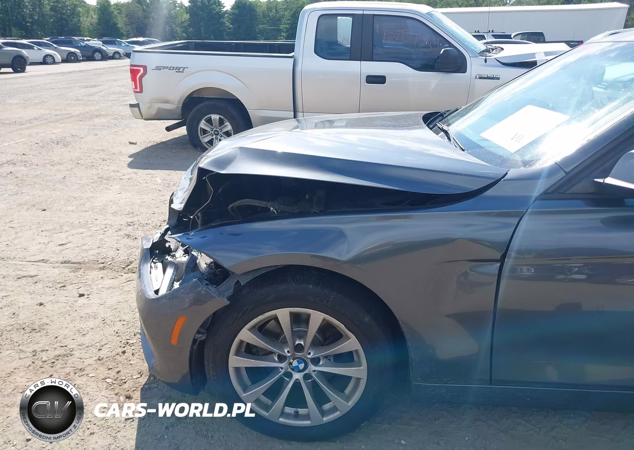 2017 BMW 320I xDrive VIN:WBA8A3C54HK691572 - 17