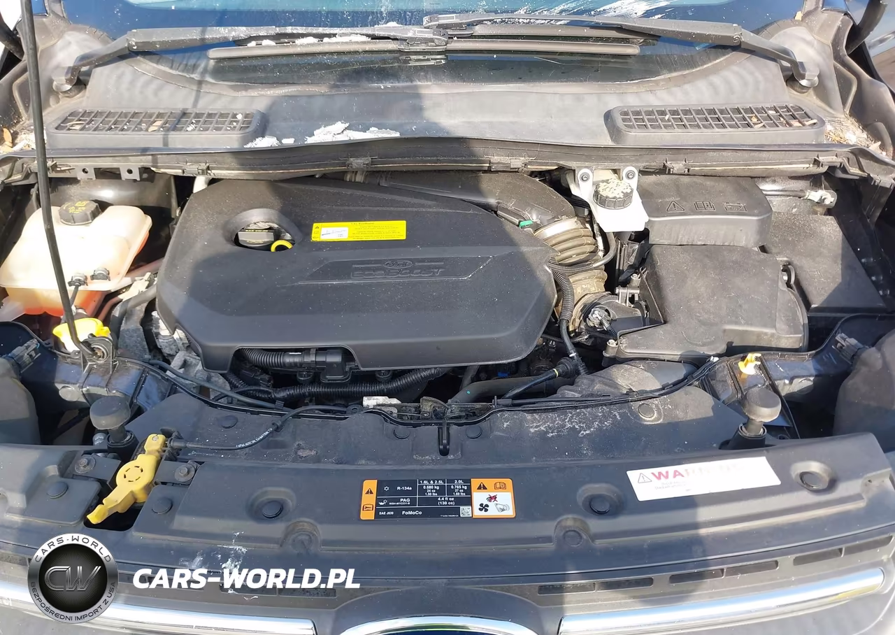 2015 Ford Escape Se VIN:1FMCU9GX0FUC30904 - 10