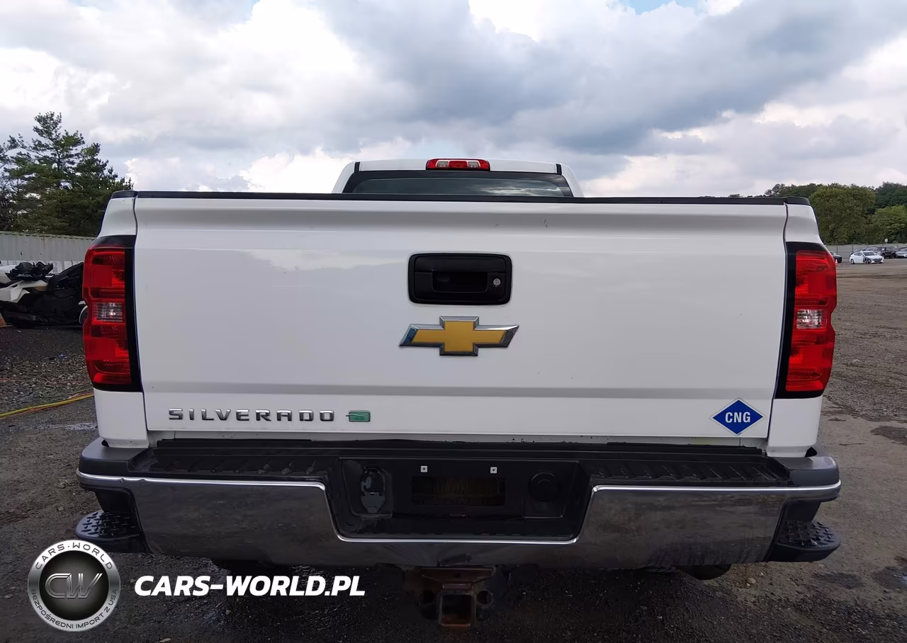 2015 Chevrolet Silverado 2500Hd Built After Aug 14 Work Truck VIN:1GC2CUEB7FZ540581 - 21