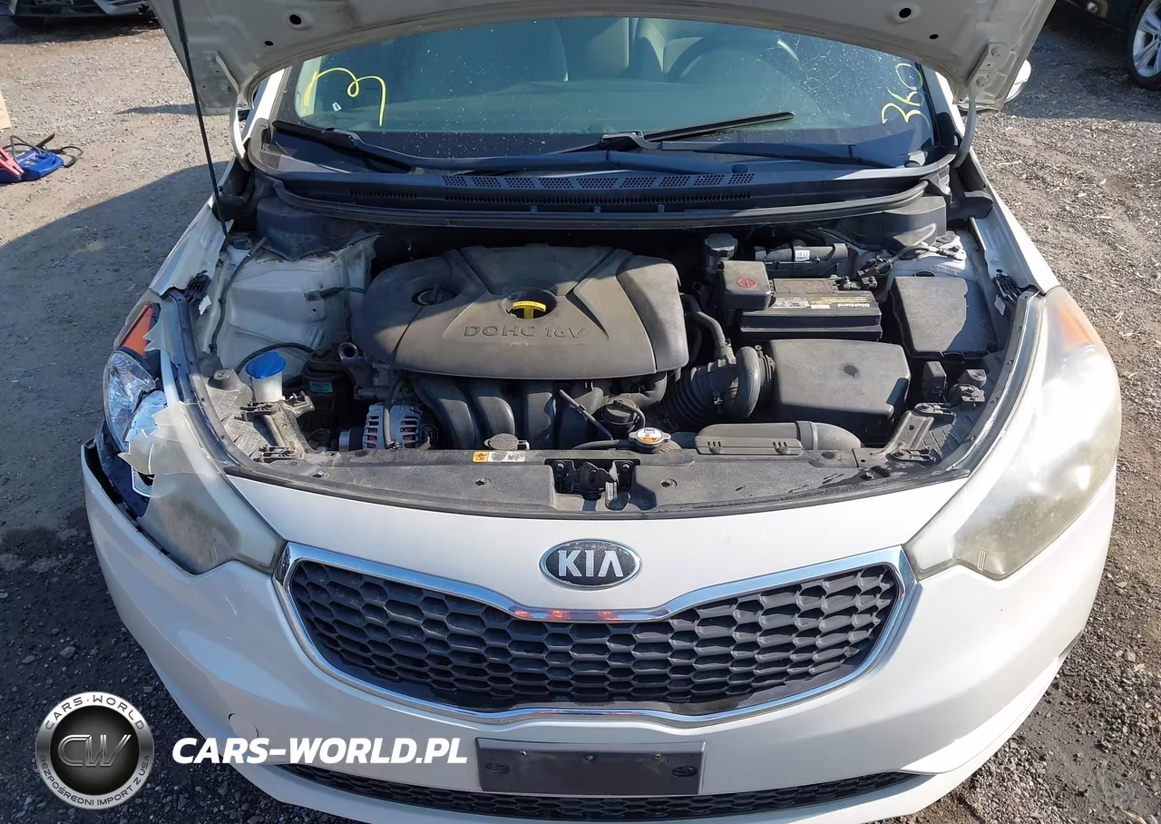 2014 Kia Forte Lx VIN:KNAFK4A60E5178125 - 10