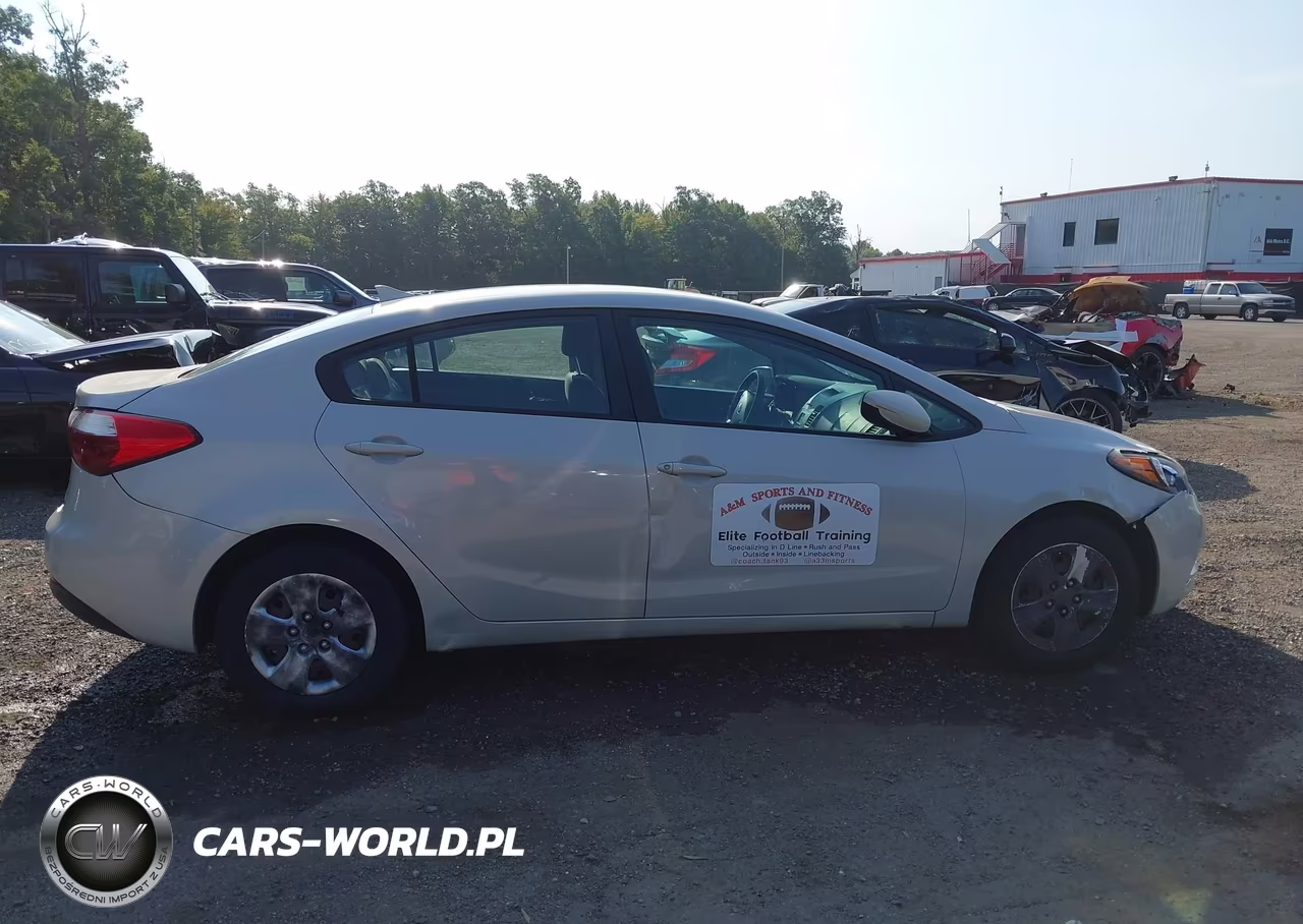2014 Kia Forte Lx VIN:KNAFK4A60E5178125 - 13