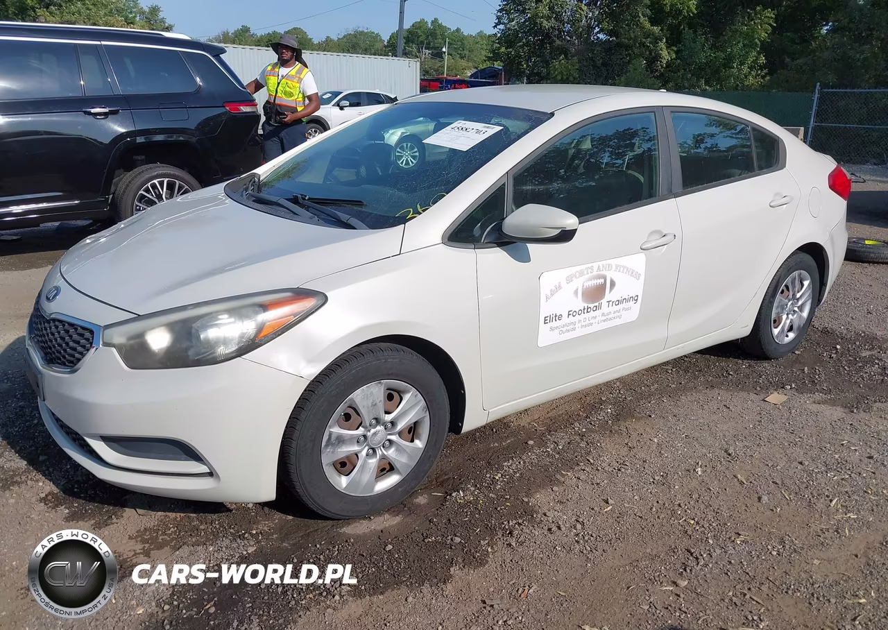 2014 Kia Forte Lx VIN:KNAFK4A60E5178125 - 2